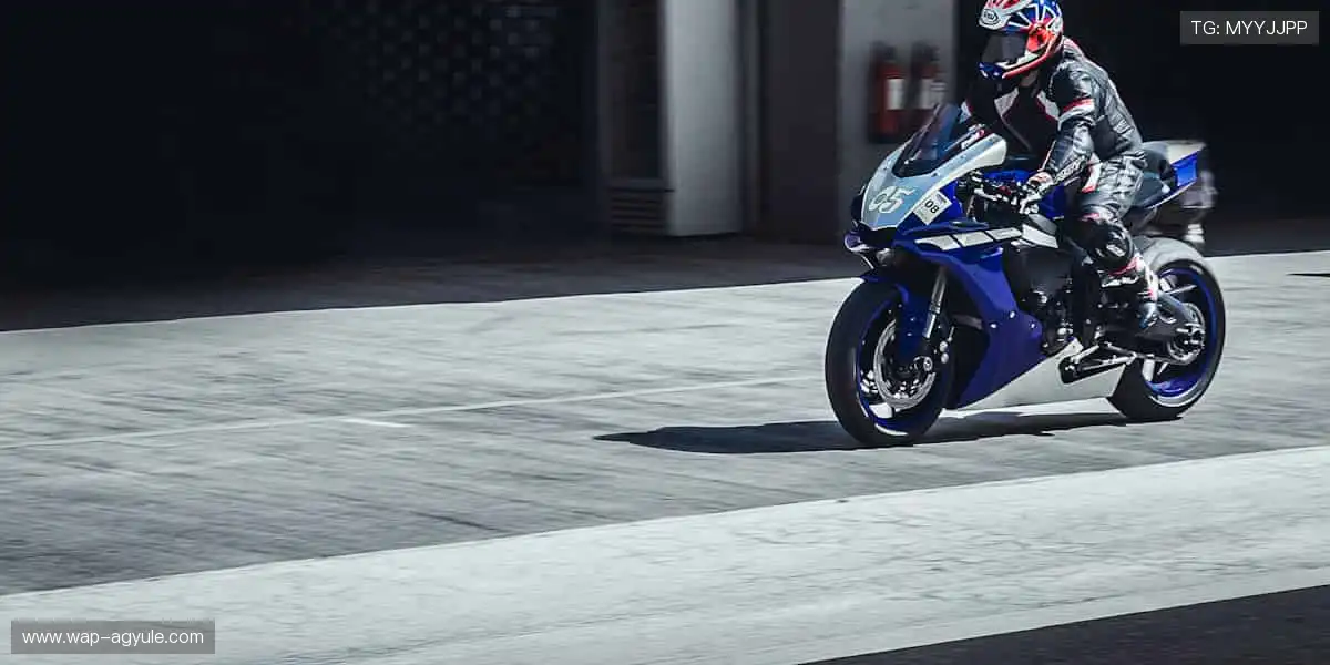 全球真人电竞乐园：荷官职业carry团战，实时竞技不停